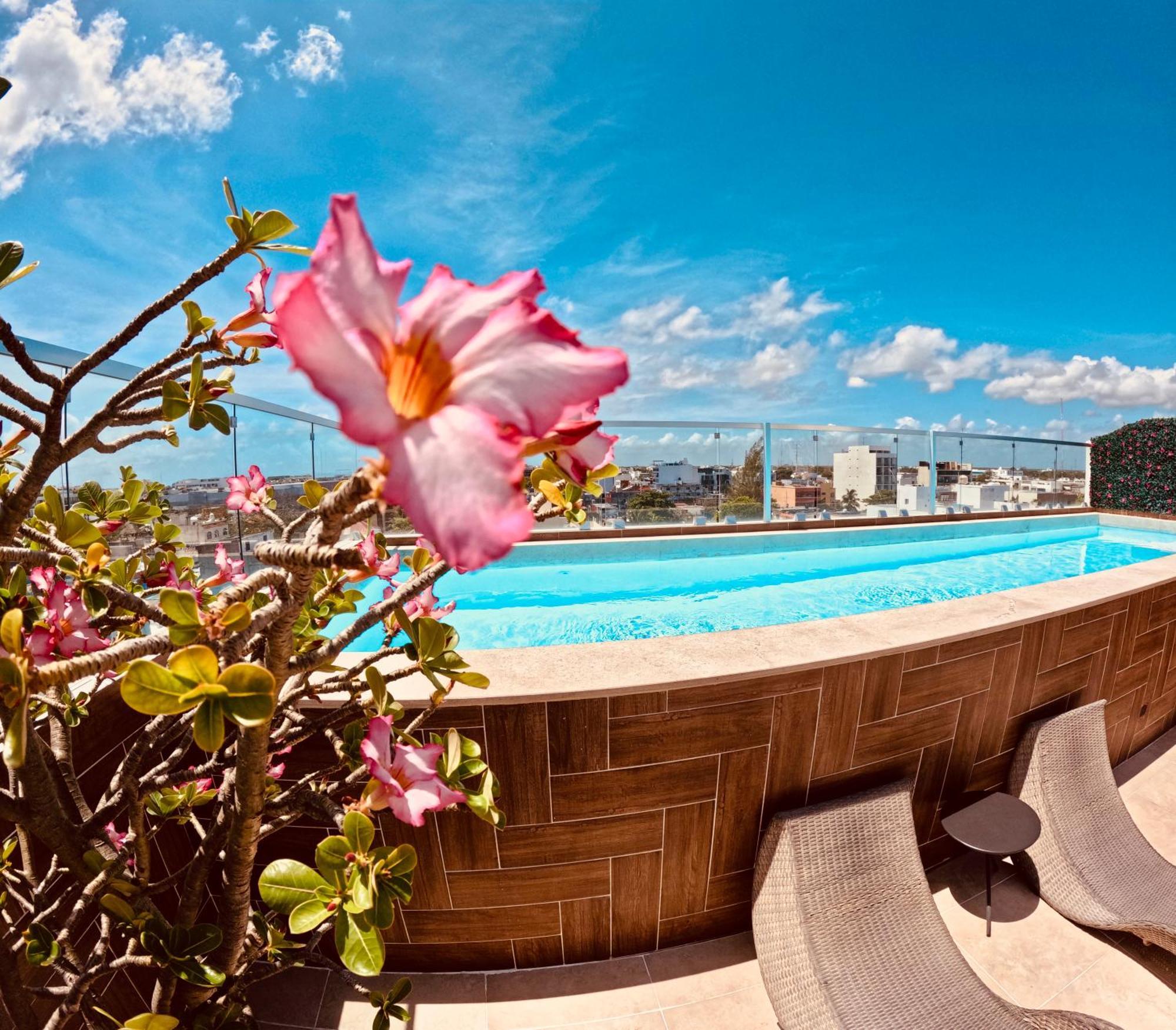 Studios With Roofpool In Vanessa 24 Playa del Carmen Esterno foto